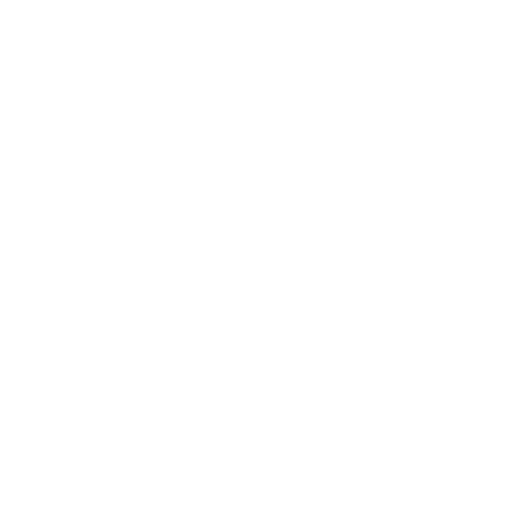 CSS